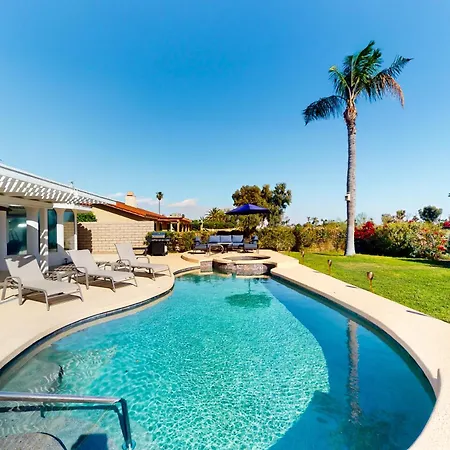 Palm Desert Dove